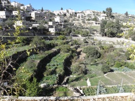 Celebrating the terraced landscapes in Battir