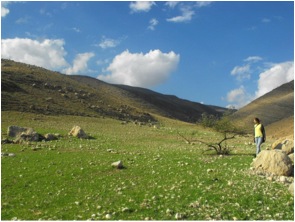 Open fields at the end of the Wadi Jaheer hike