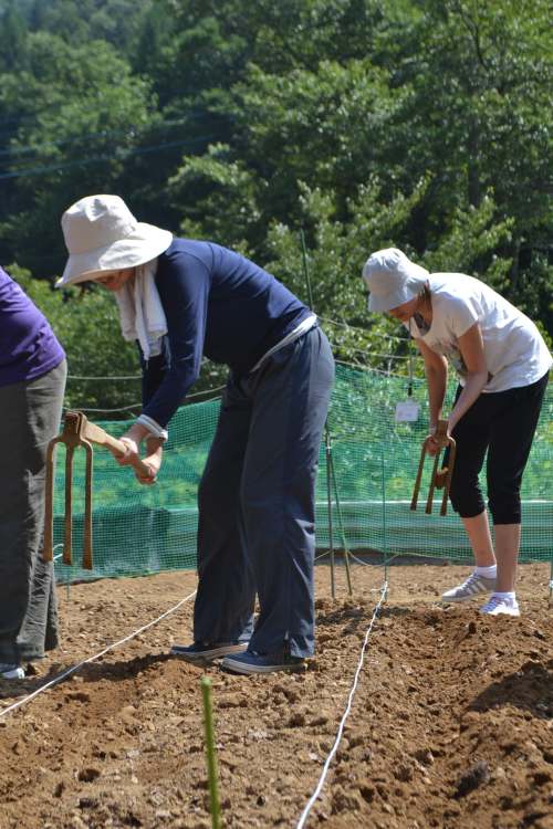 Sowing Soba