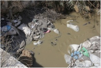 The heavily polluted spring in Yatta